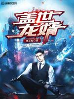 盖世龙婿陈凡苏婉清